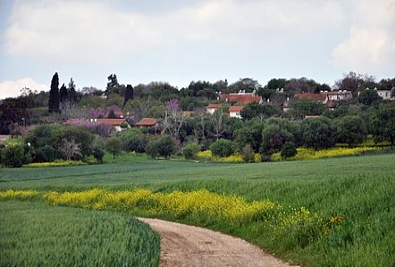 אלונים